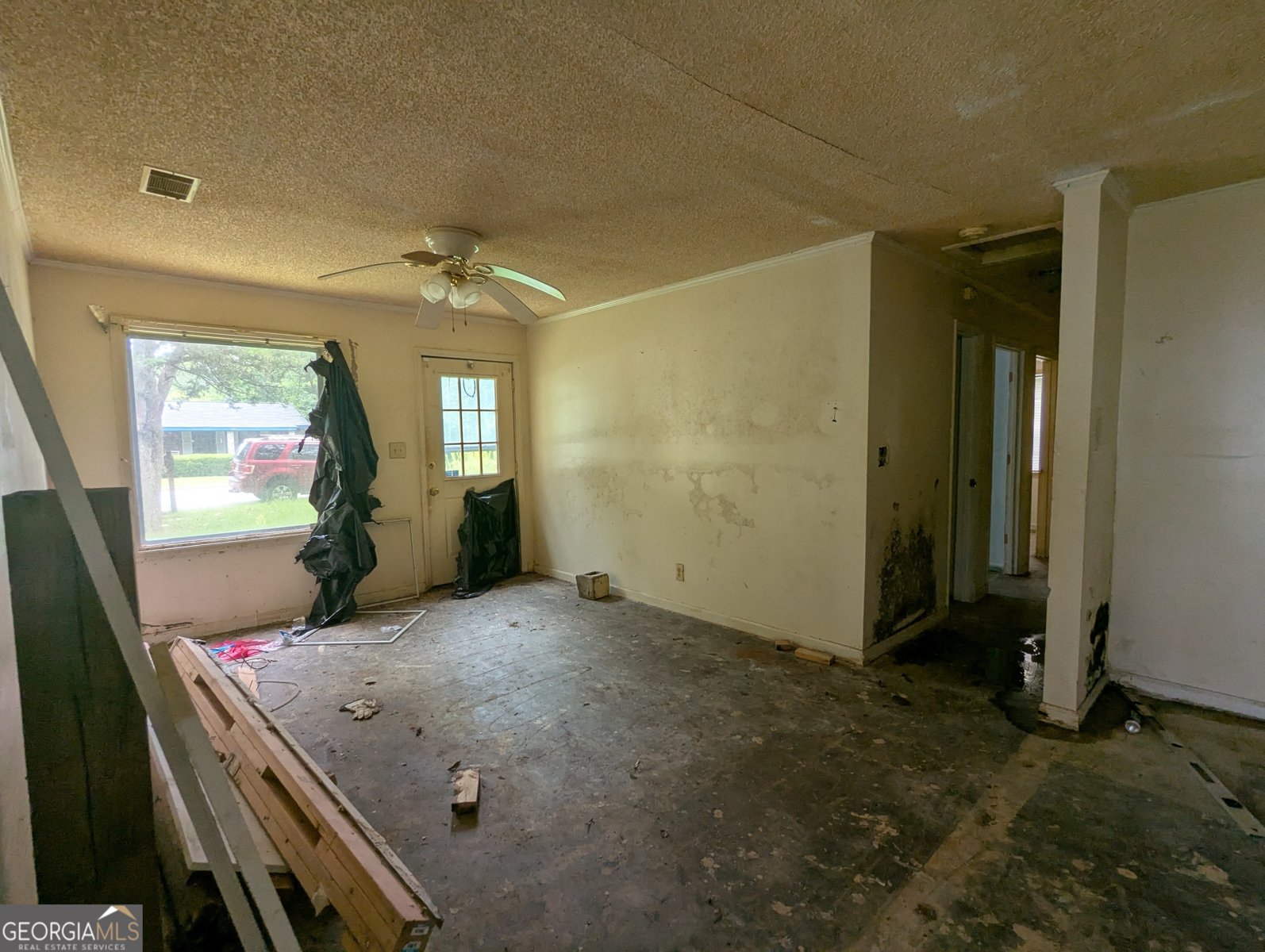 512 Louis Avenue Albany - 2