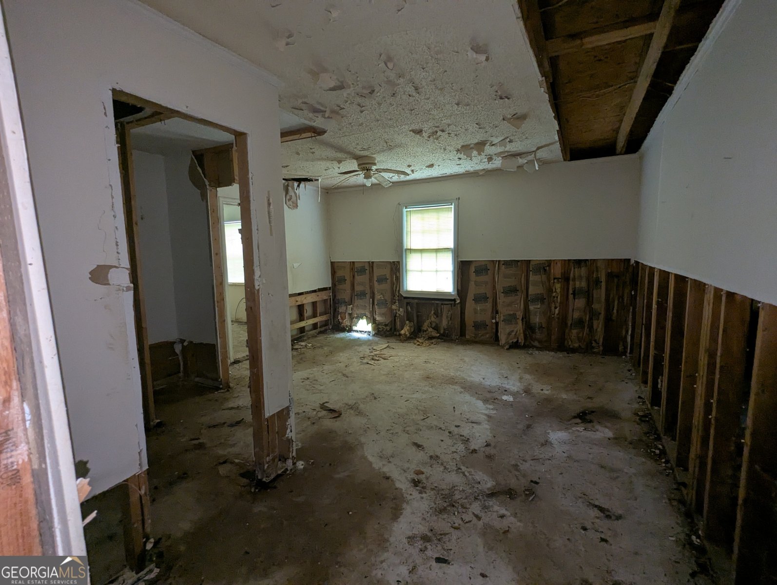 512 Louis Avenue Albany - 5