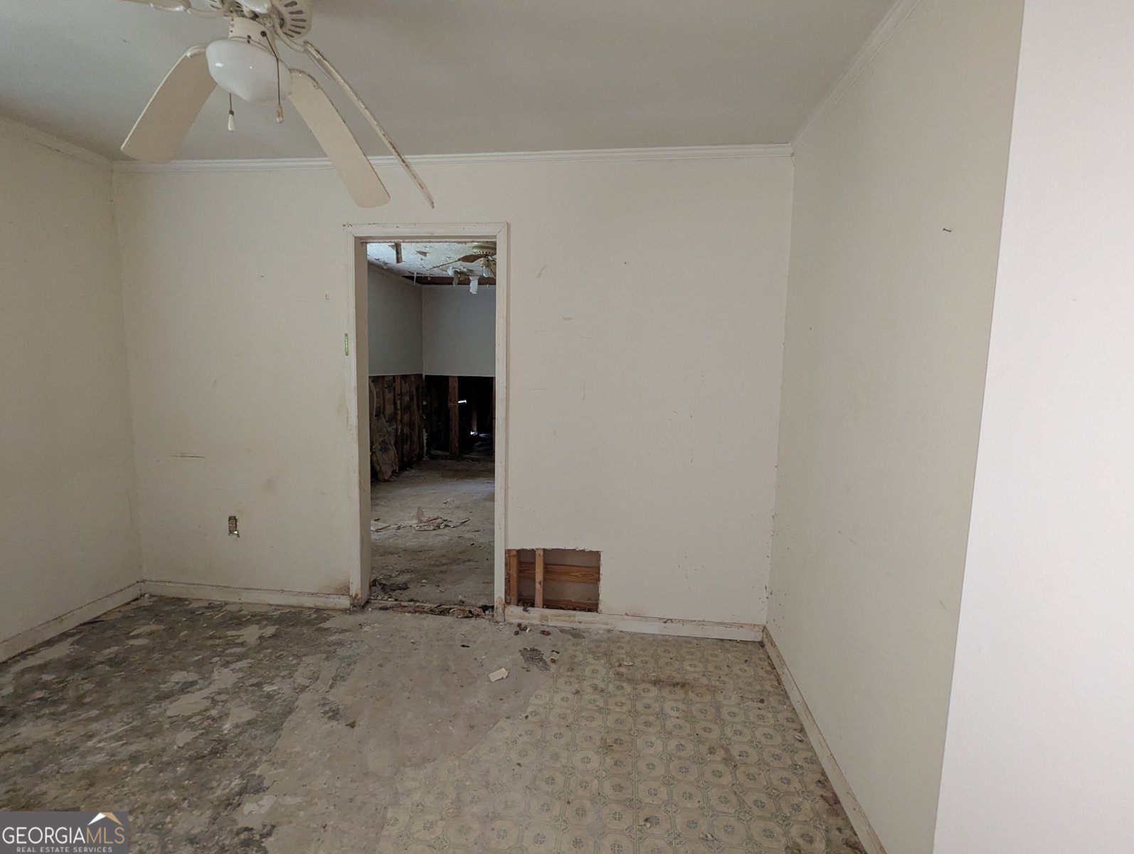 512 Louis Avenue Albany - 9
