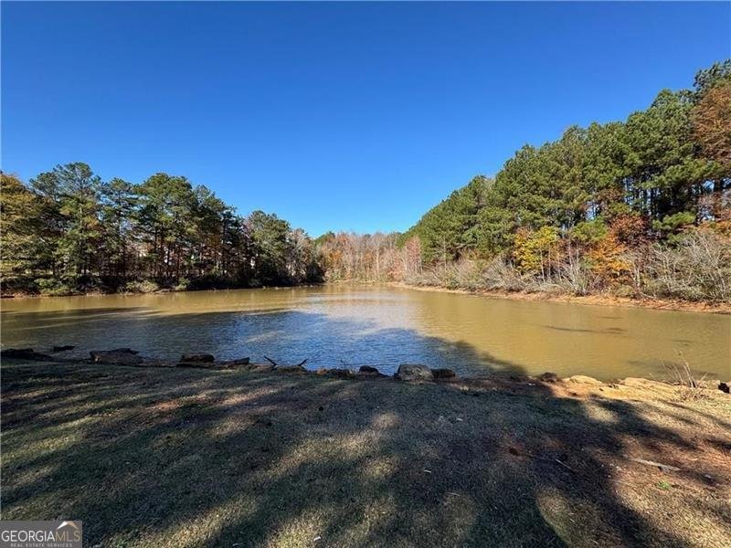 7291 WAGON WHEEL Court Jonesboro - 21