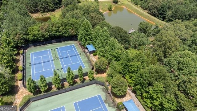 3798 SPRING PLACE Court Loganville - 31