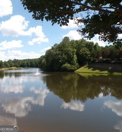 3210 Lake McGinnis Drive Suwanee - 37