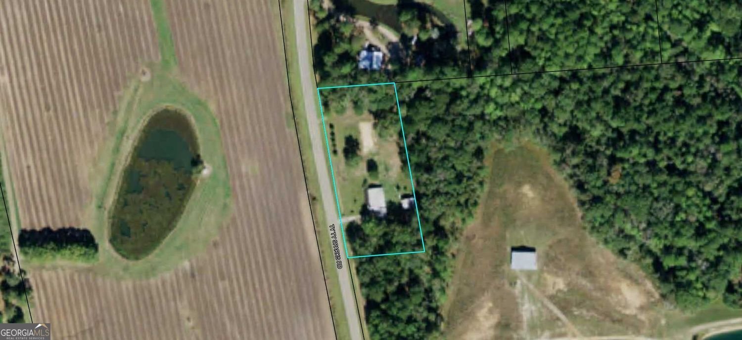 899 Ty Ty-Sparks Road Ty Ty - 3