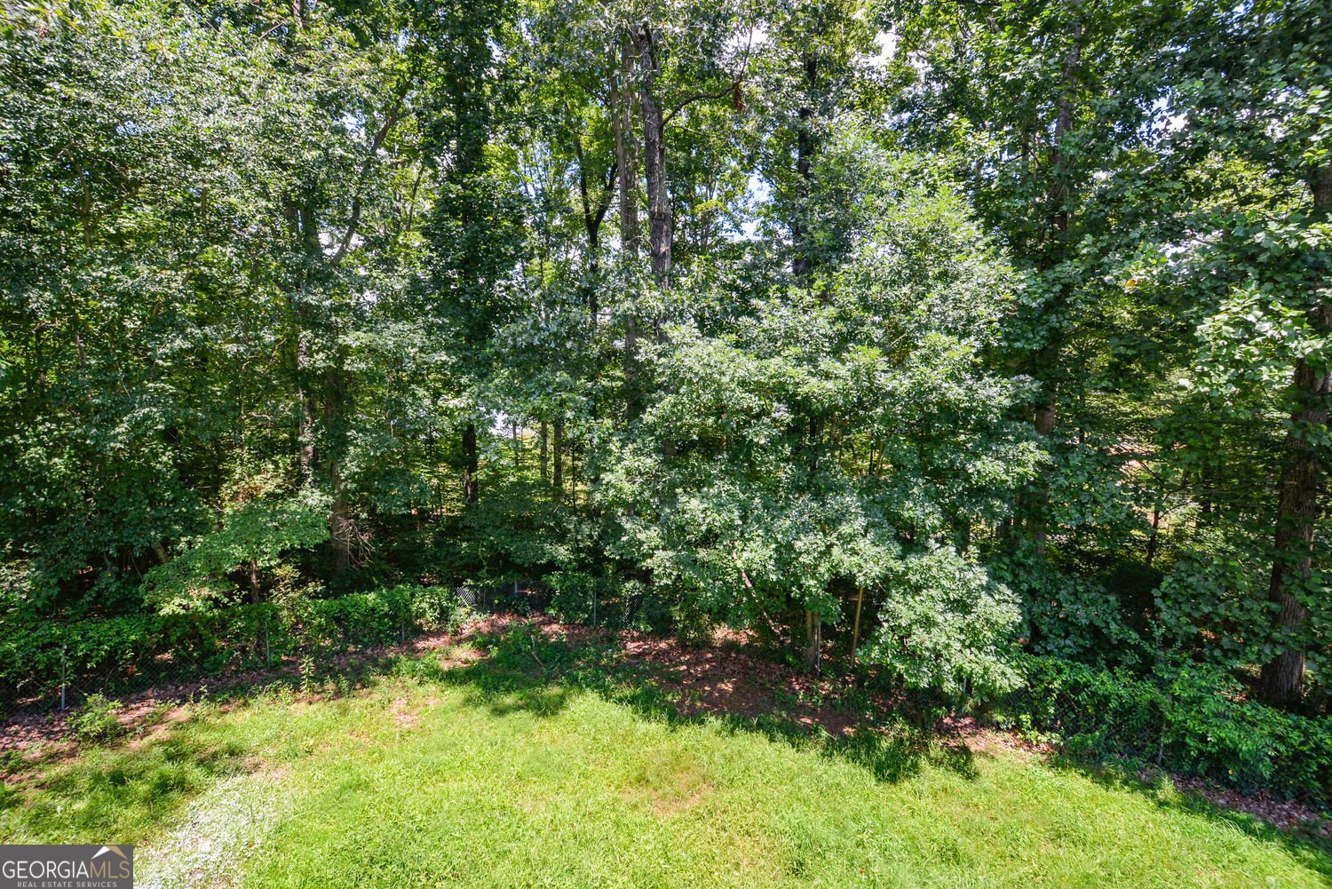 256 Thornbrooke Drive Hiram - 1