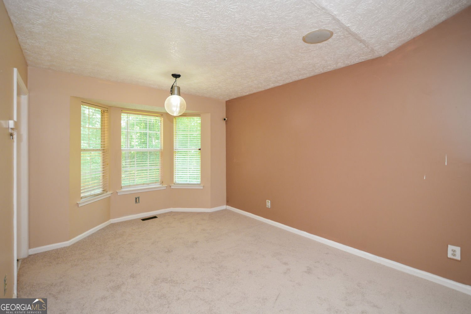 256 Thornbrooke Drive Hiram - 10