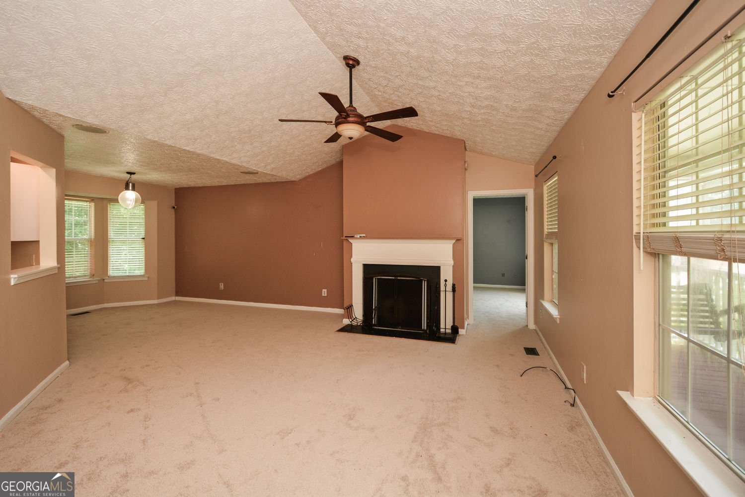 256 Thornbrooke Drive Hiram - 11