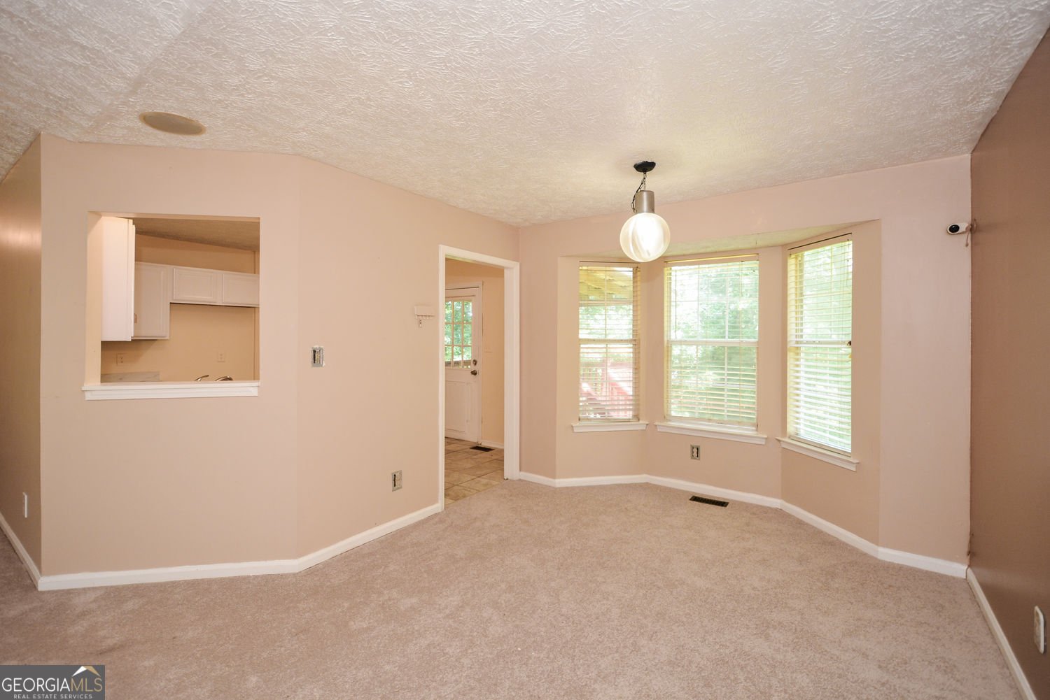 256 Thornbrooke Drive Hiram - 8