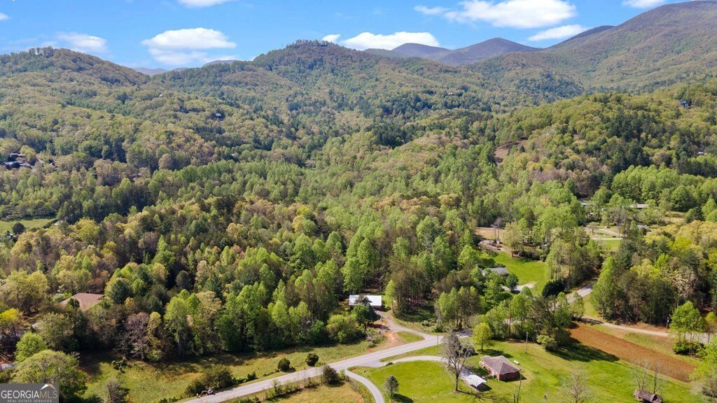 14 Emma Grace Lane Blairsville - 9