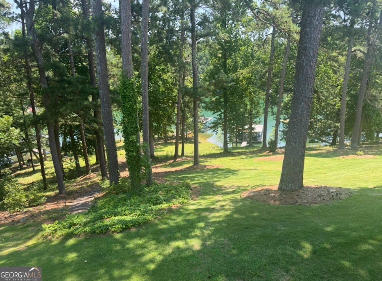 2109 Pine Tree Drive Buford - 20