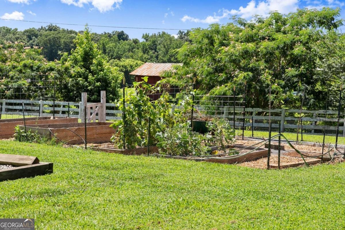 1033 Ransom Free Road Clermont - 39