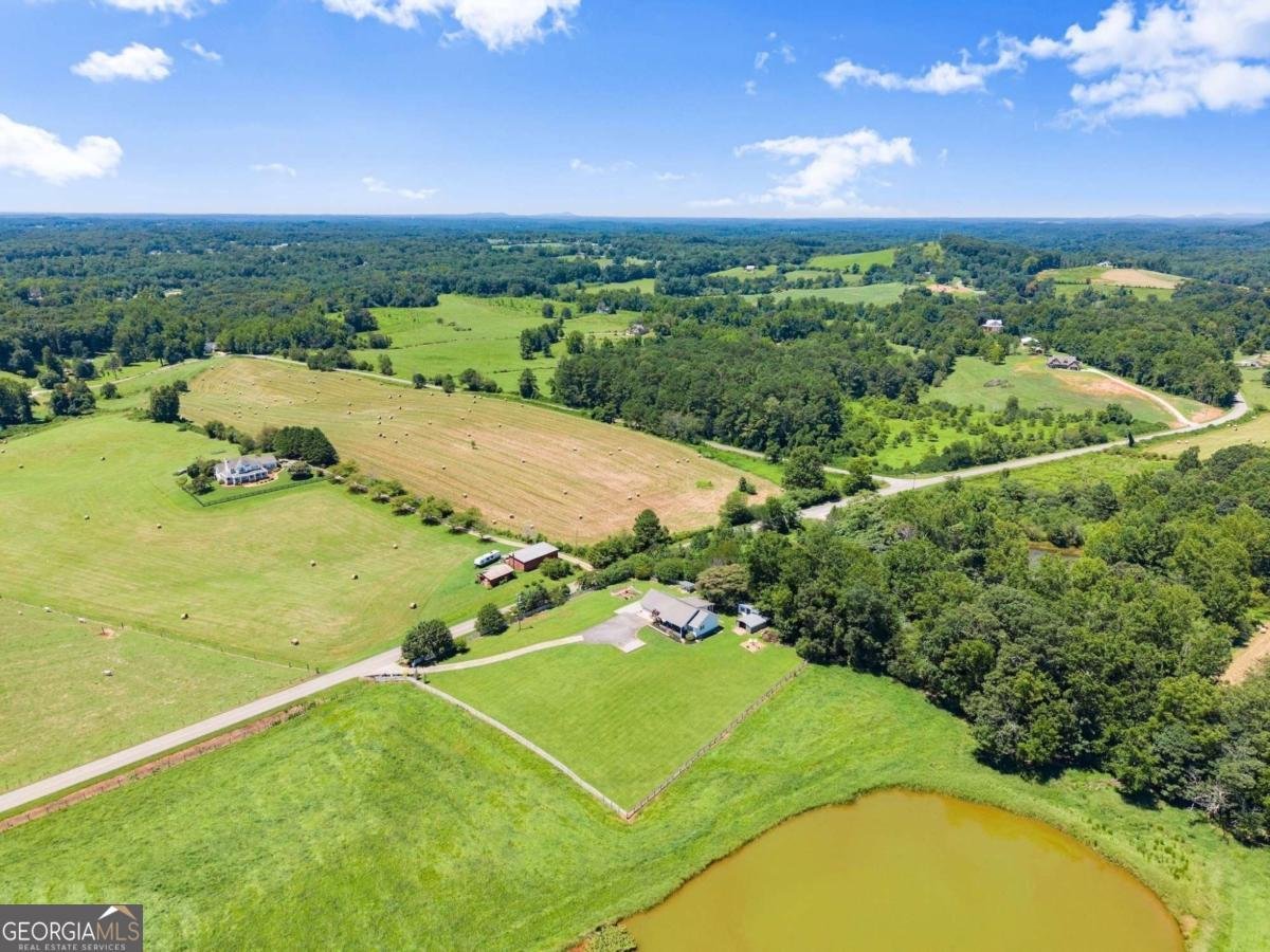 1033 Ransom Free Road Clermont - 44