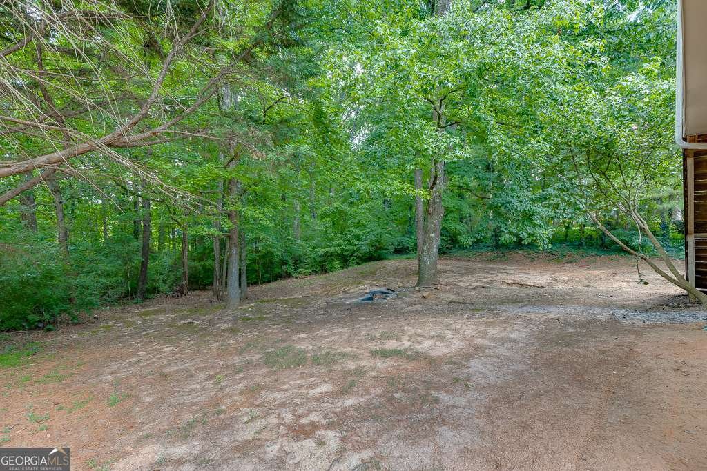 4481 Bogan Gates Trail Buford - 45