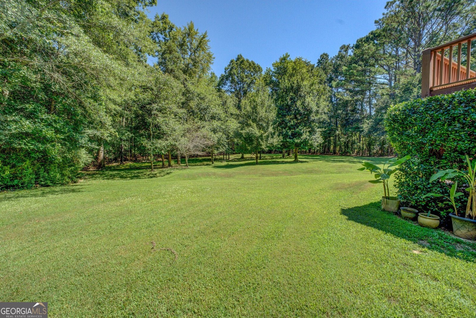 897 Lake Stone Lea Drive Oxford - 46