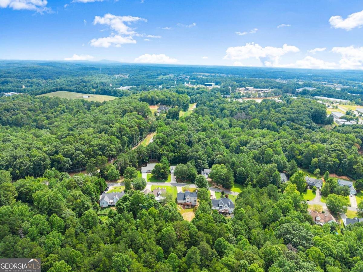 80 Valley Brook Drive Dawsonville - 56