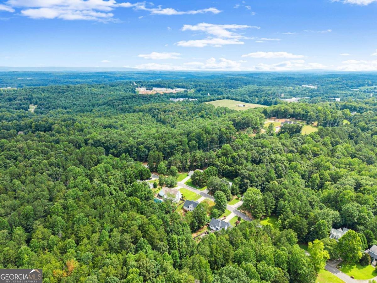 80 Valley Brook Drive Dawsonville - 59