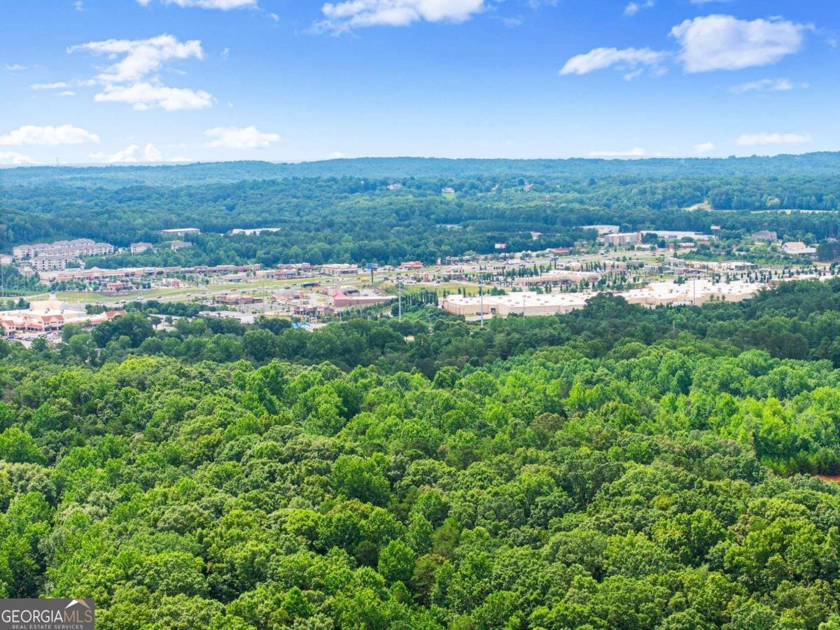 80 Valley Brook Drive Dawsonville - 60