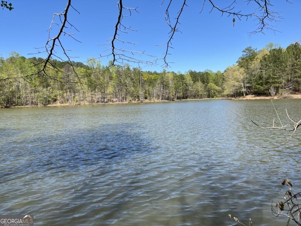 57 Toto Drive Dawsonville - 10