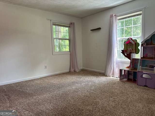4020 Willow Ridge Road Douglasville - 11