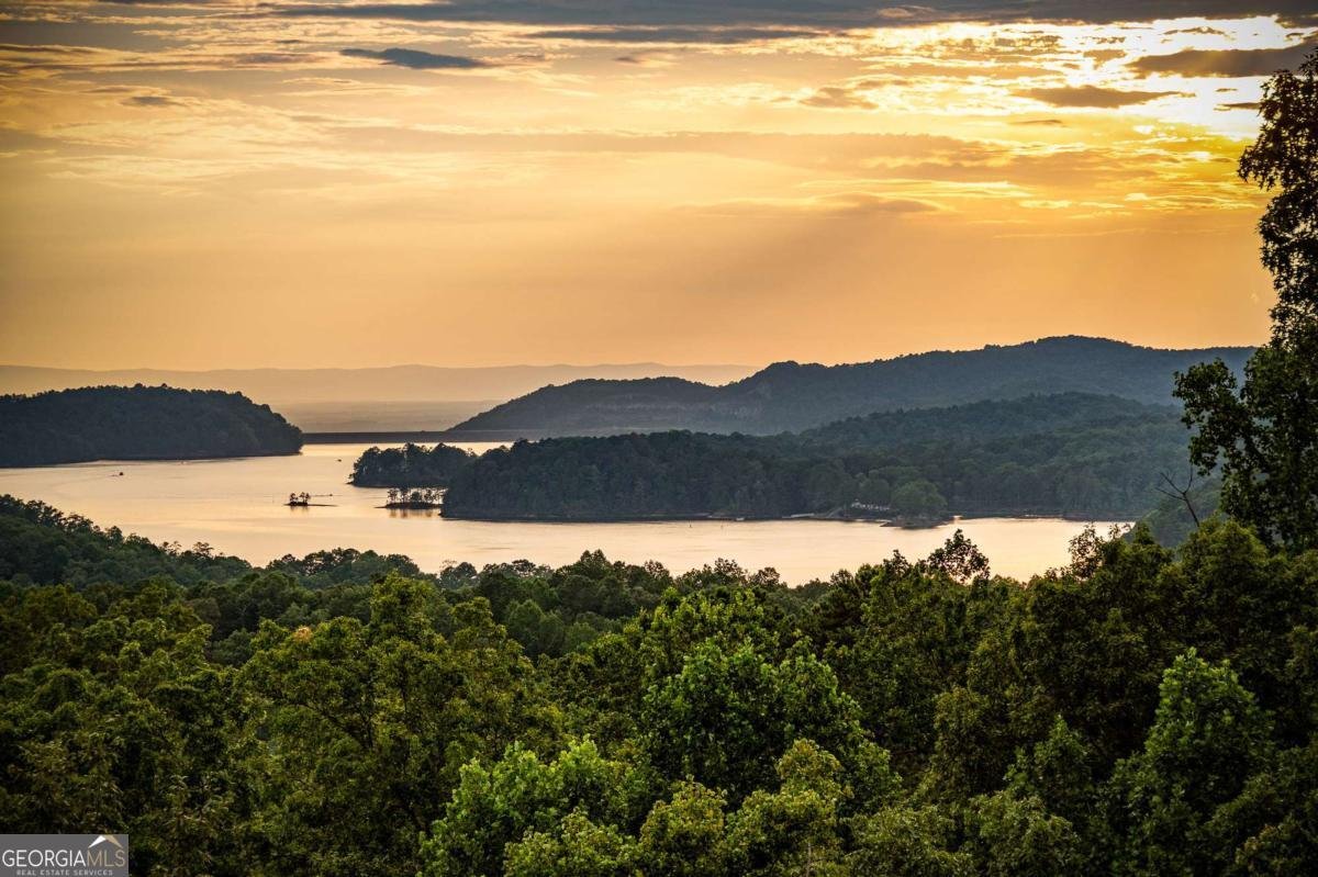 100 Carters View Drive Ellijay - 31