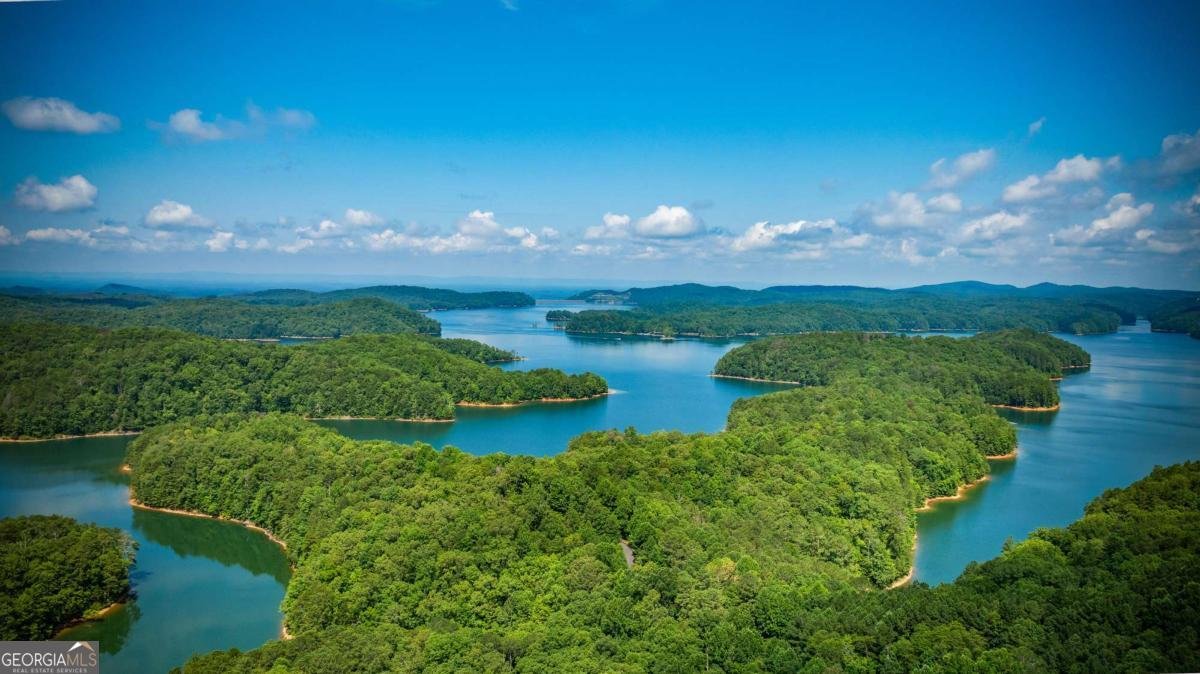 100 Carters View Drive Ellijay - 48