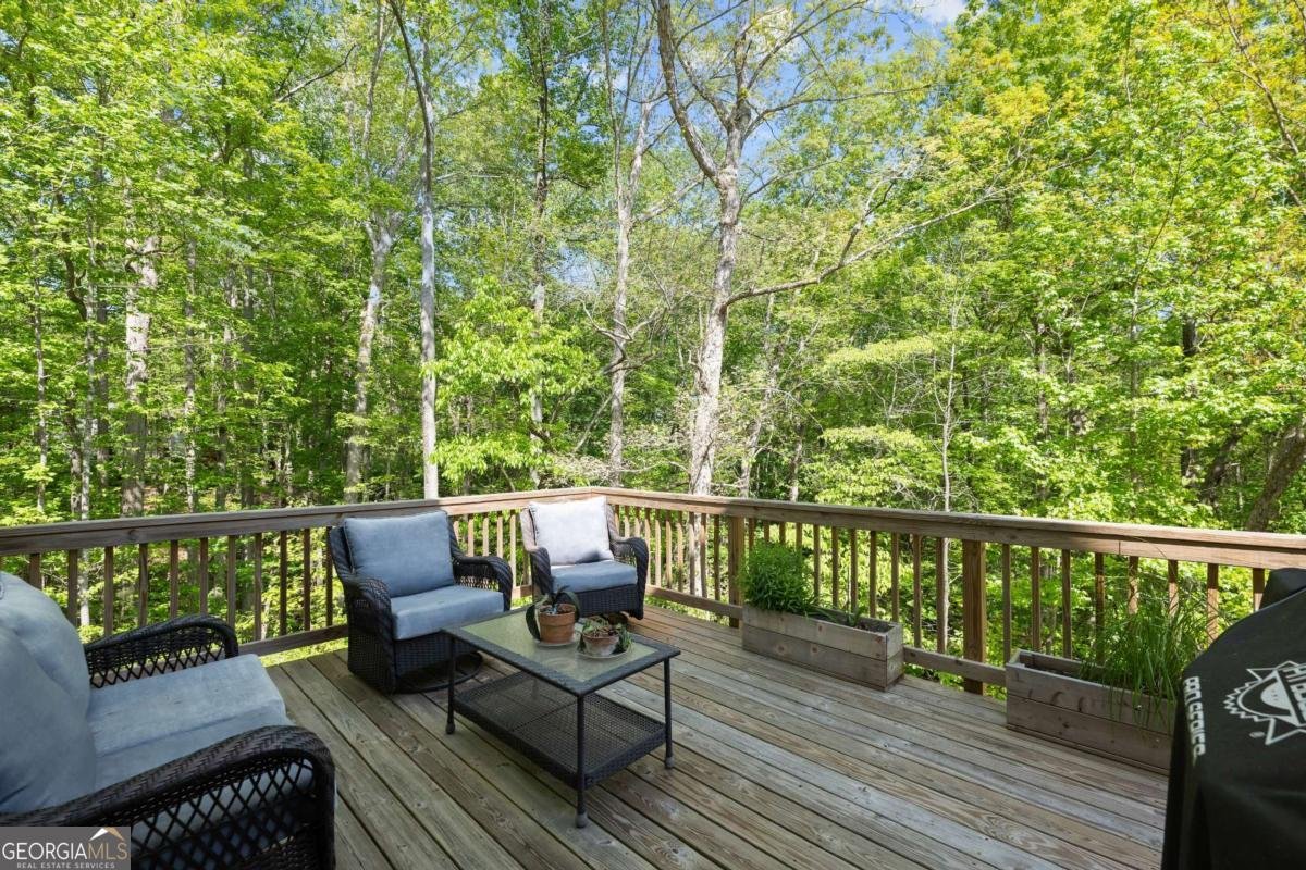 4525 Chestatee Heights Road Gainesville - 46