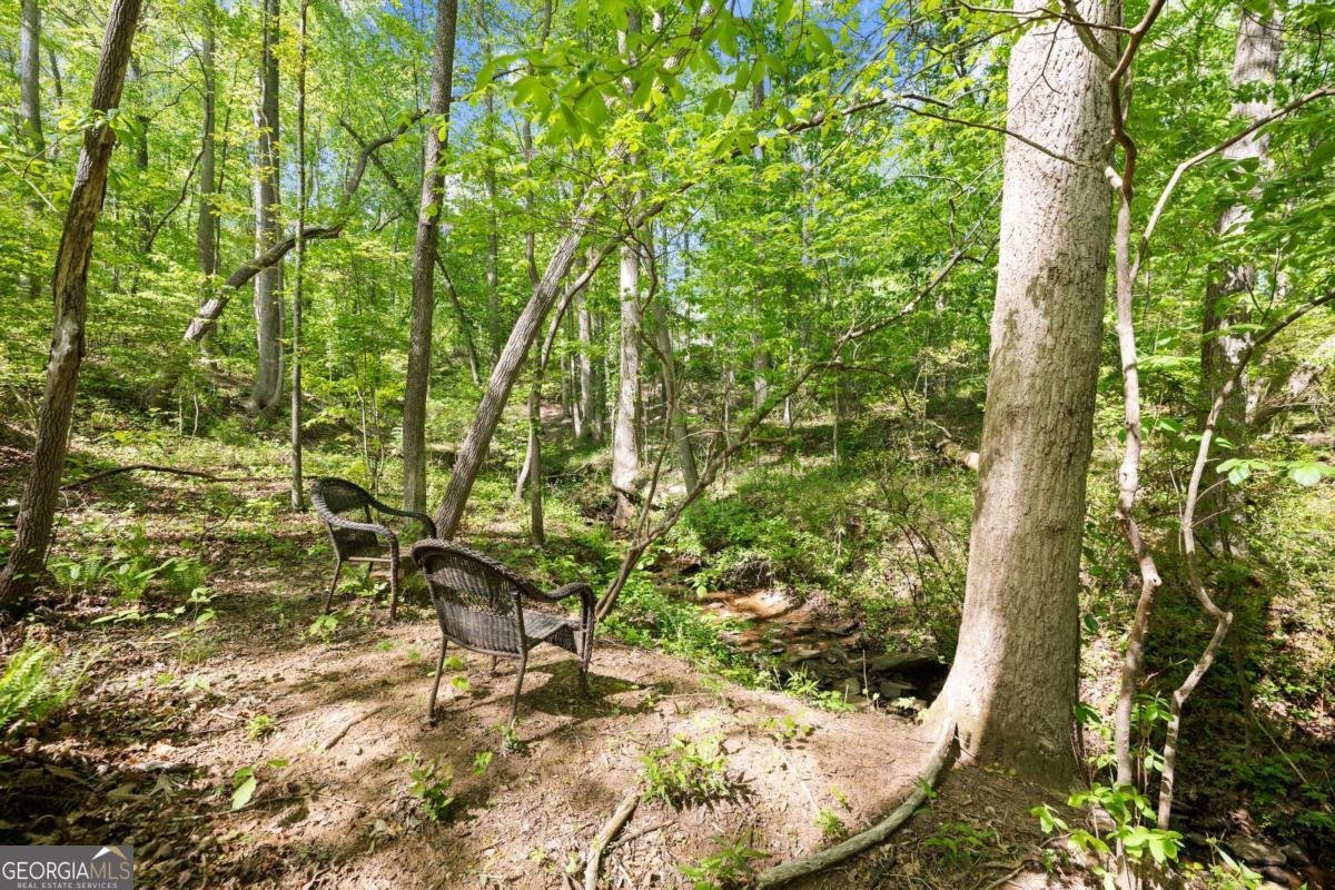 4525 Chestatee Heights Road Gainesville - 56
