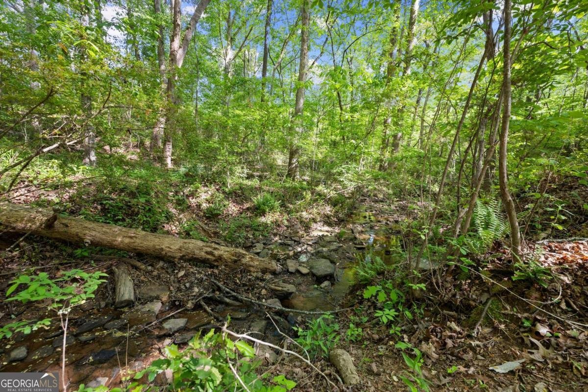 4525 Chestatee Heights Road Gainesville - 57
