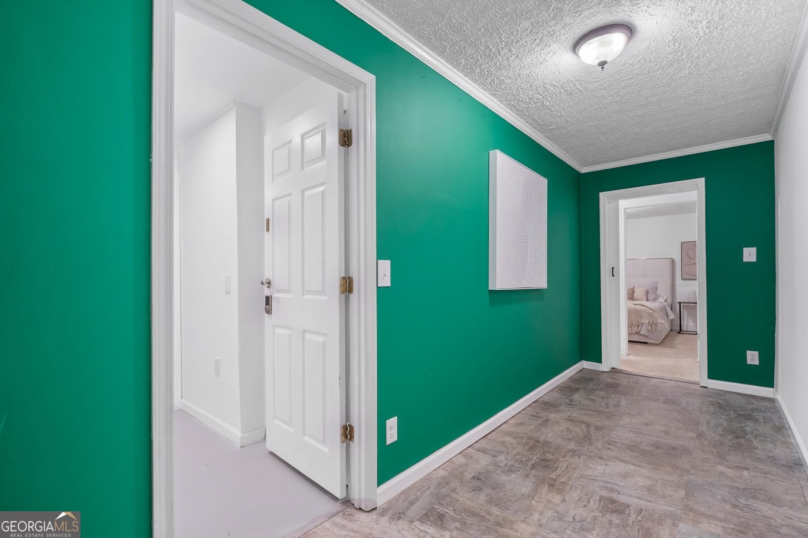 290 Dania Drive Alpharetta - 13