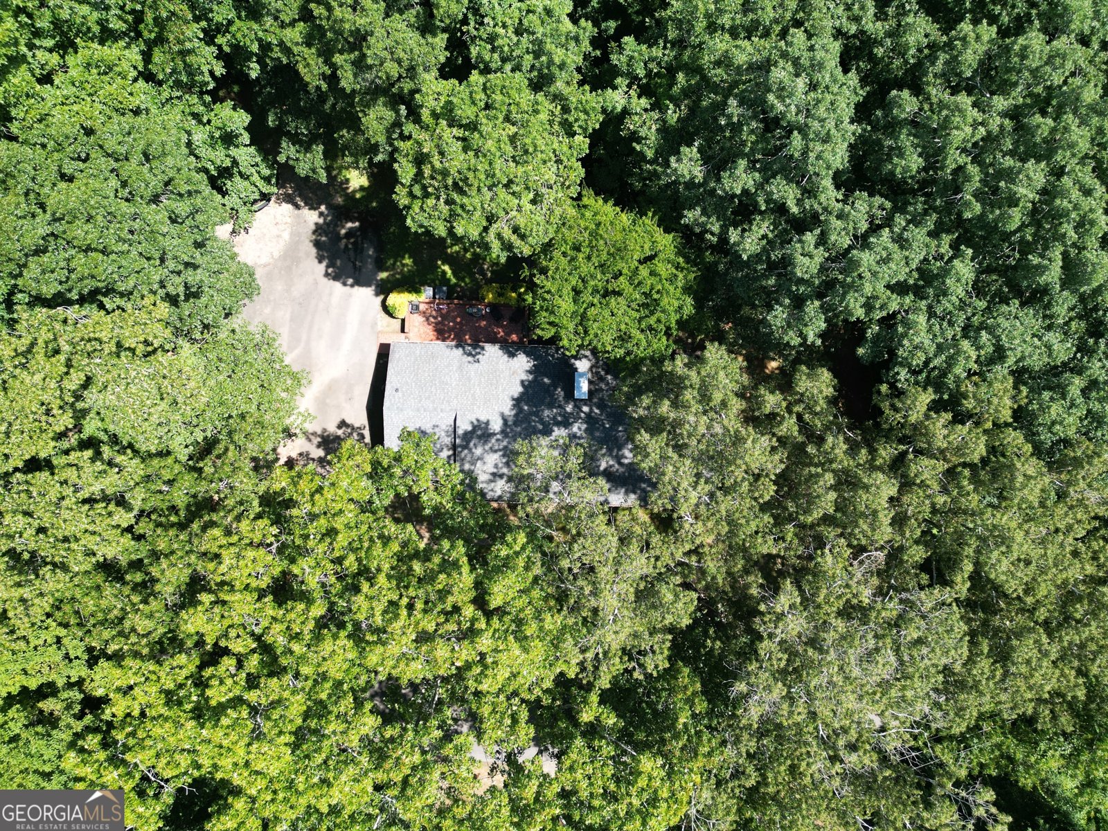 206 Hammond Drive Summerville - 5