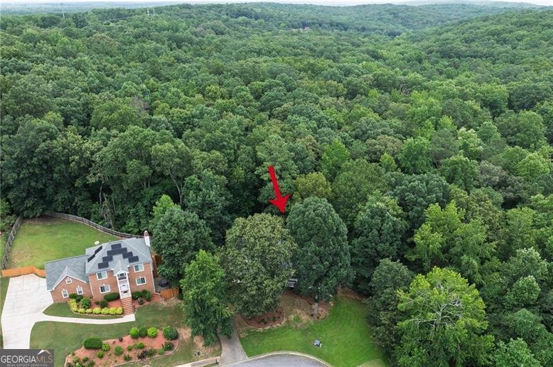 2435 Arlington Court Lithia Springs - 2