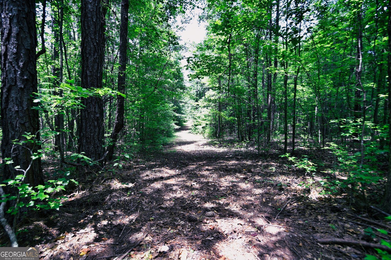 1317 Bartley Road Lagrange - 22