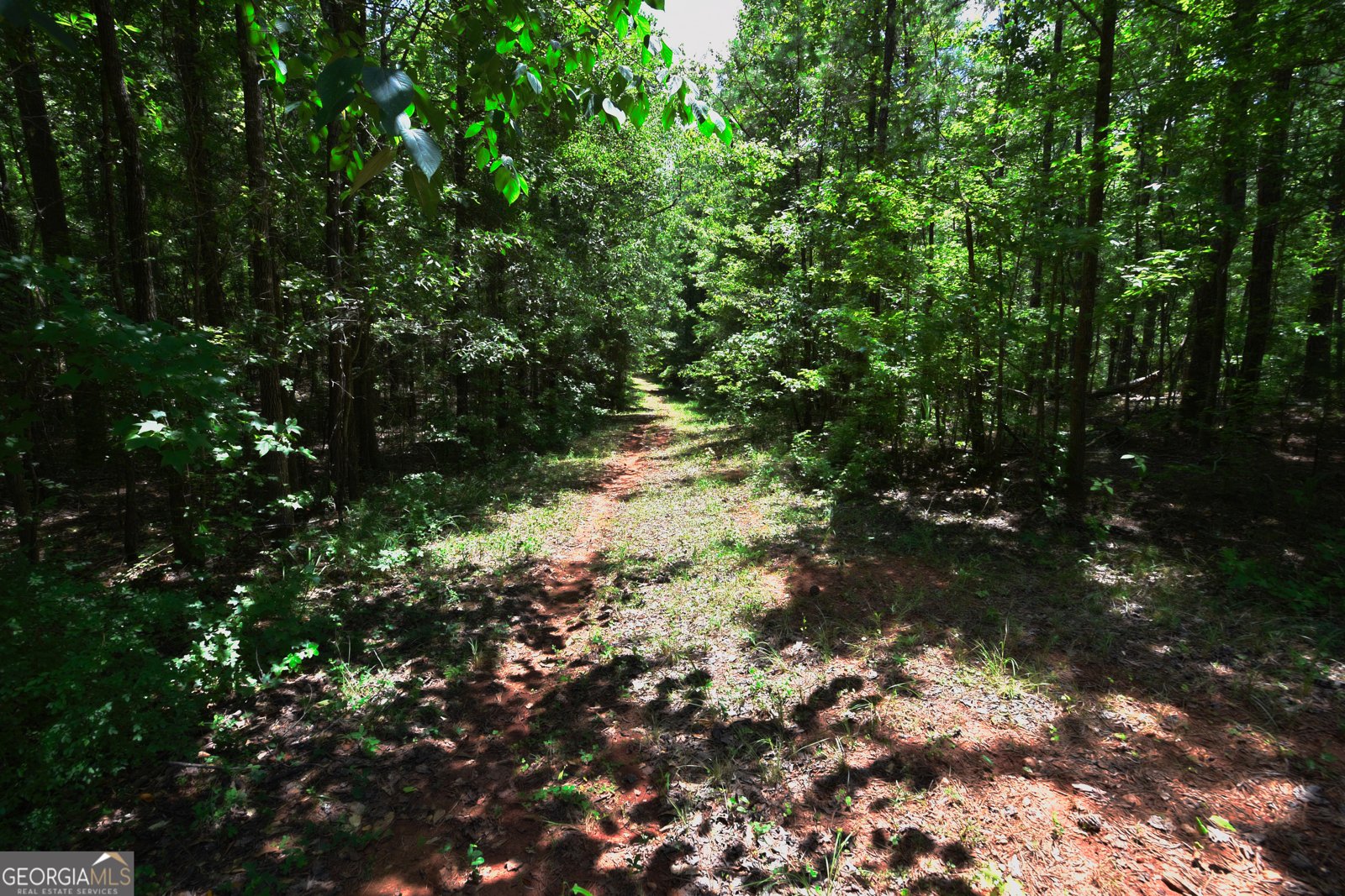 1317 Bartley Road Lagrange - 23