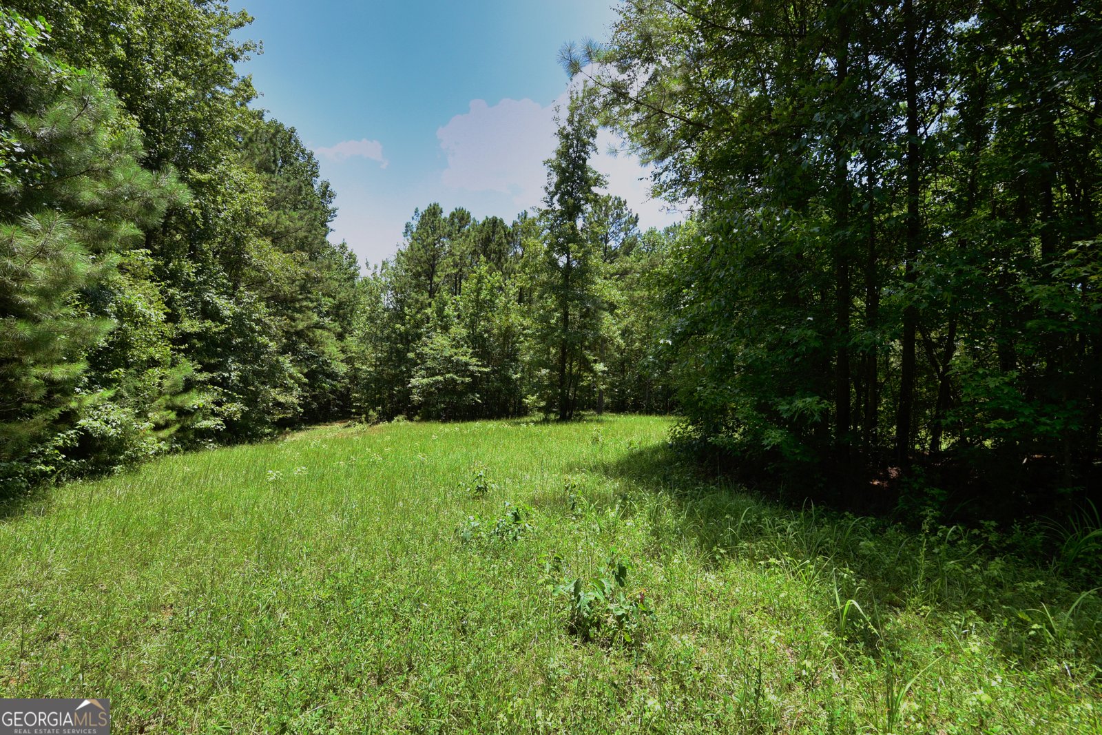 1317 Bartley Road Lagrange - 24