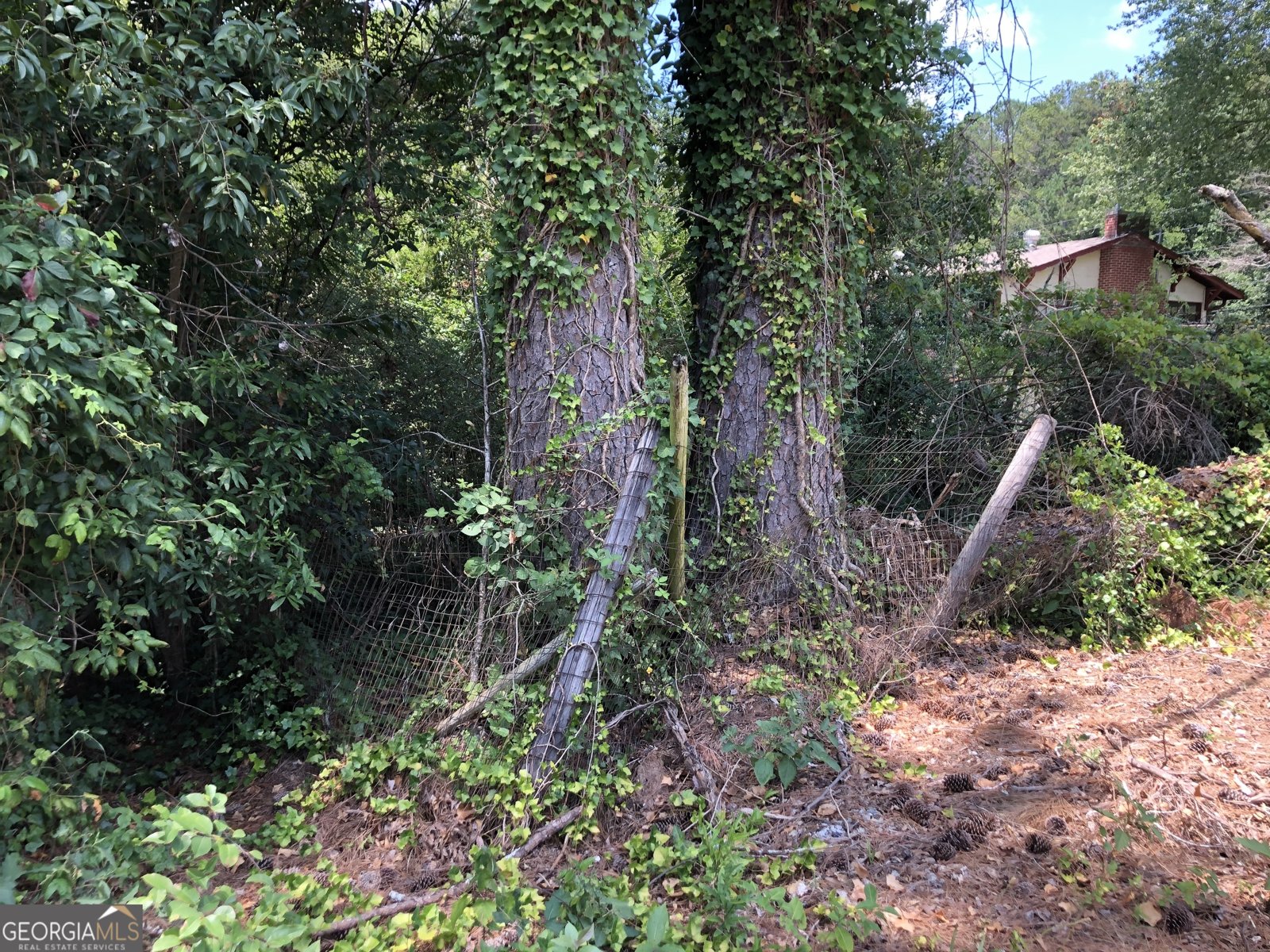 1222 Tugalo Street Toccoa - 21