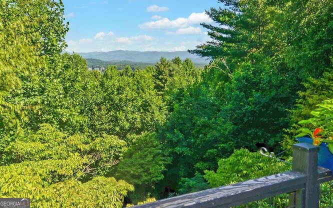 1106 Robin Ridge Lane Hiawassee - 68