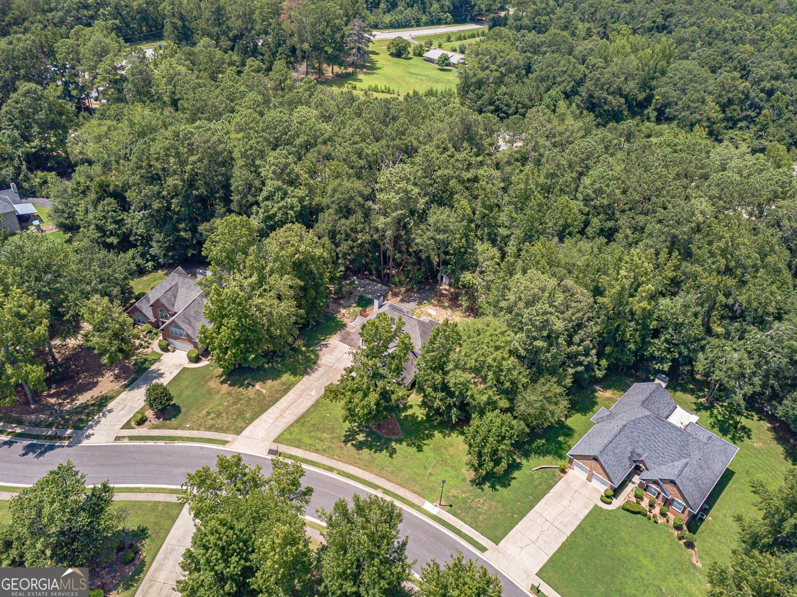 113 Oak Bend Drive Stockbridge - 51
