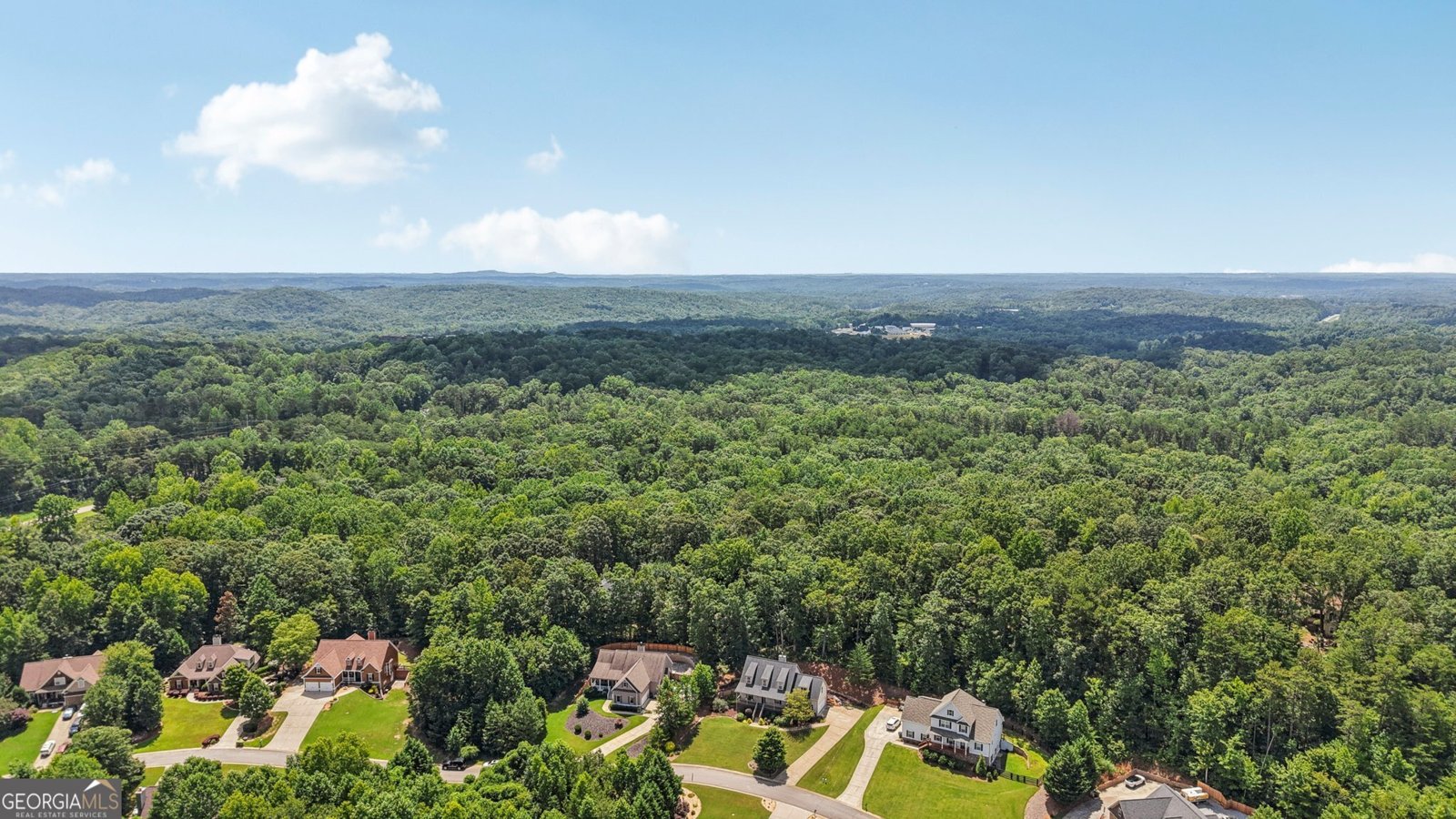 211 Glen Cedar Lane Dawsonville - 19