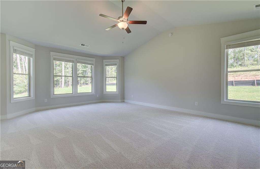 77 Homesite Slick Court Senoia - 13