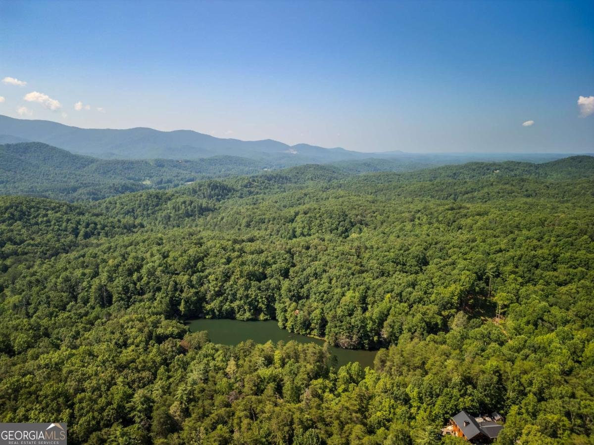 556 Cherry Lake Drive Cherry Log - 35