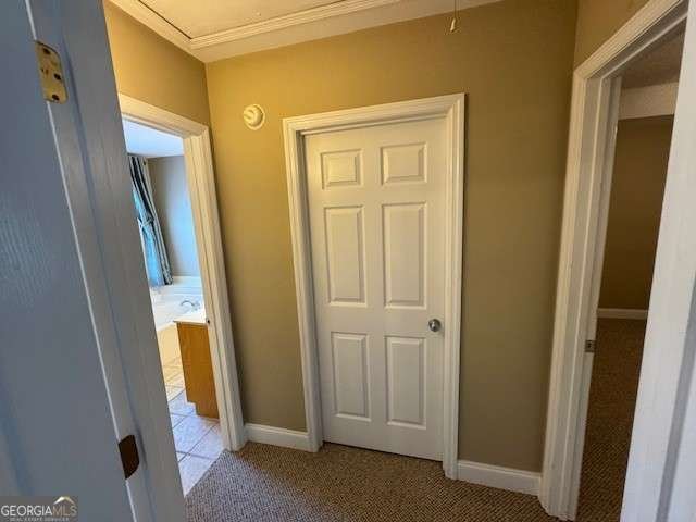 386 Nassau Lane Athens - 9