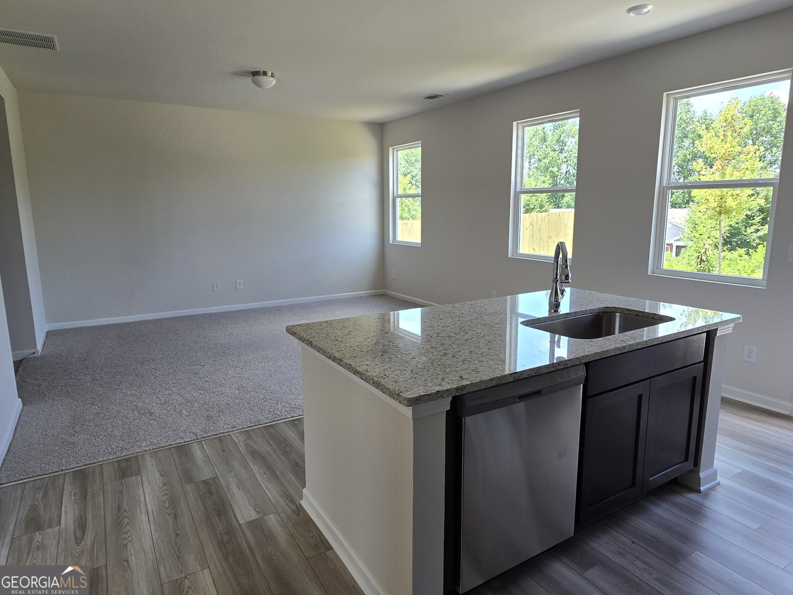 123 Shelter Lane Dawsonville - 10