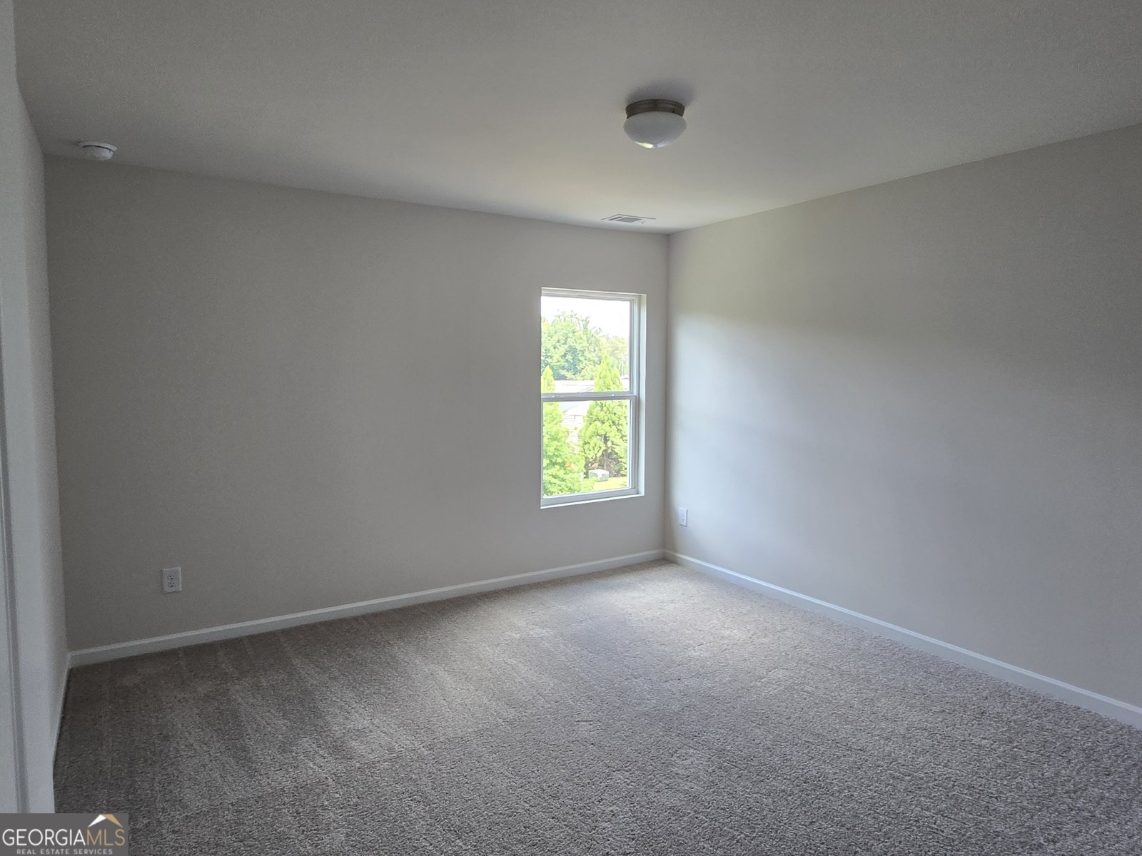 123 Shelter Lane Dawsonville - 12
