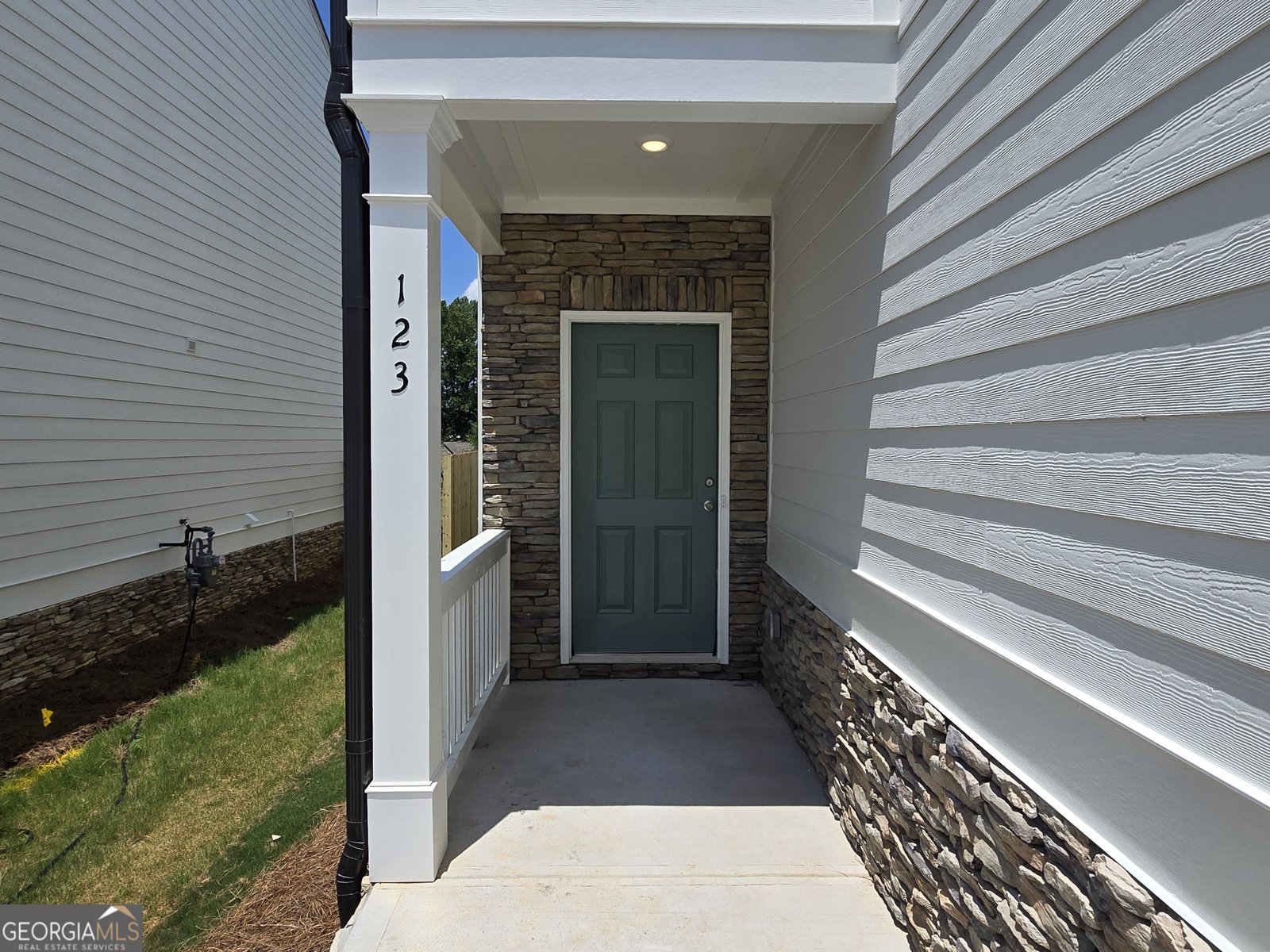 123 Shelter Lane Dawsonville - 3