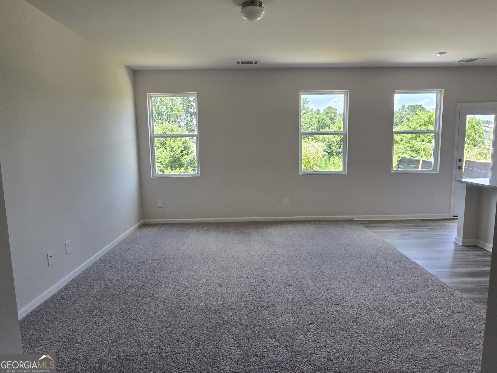 123 Shelter Lane Dawsonville - 7