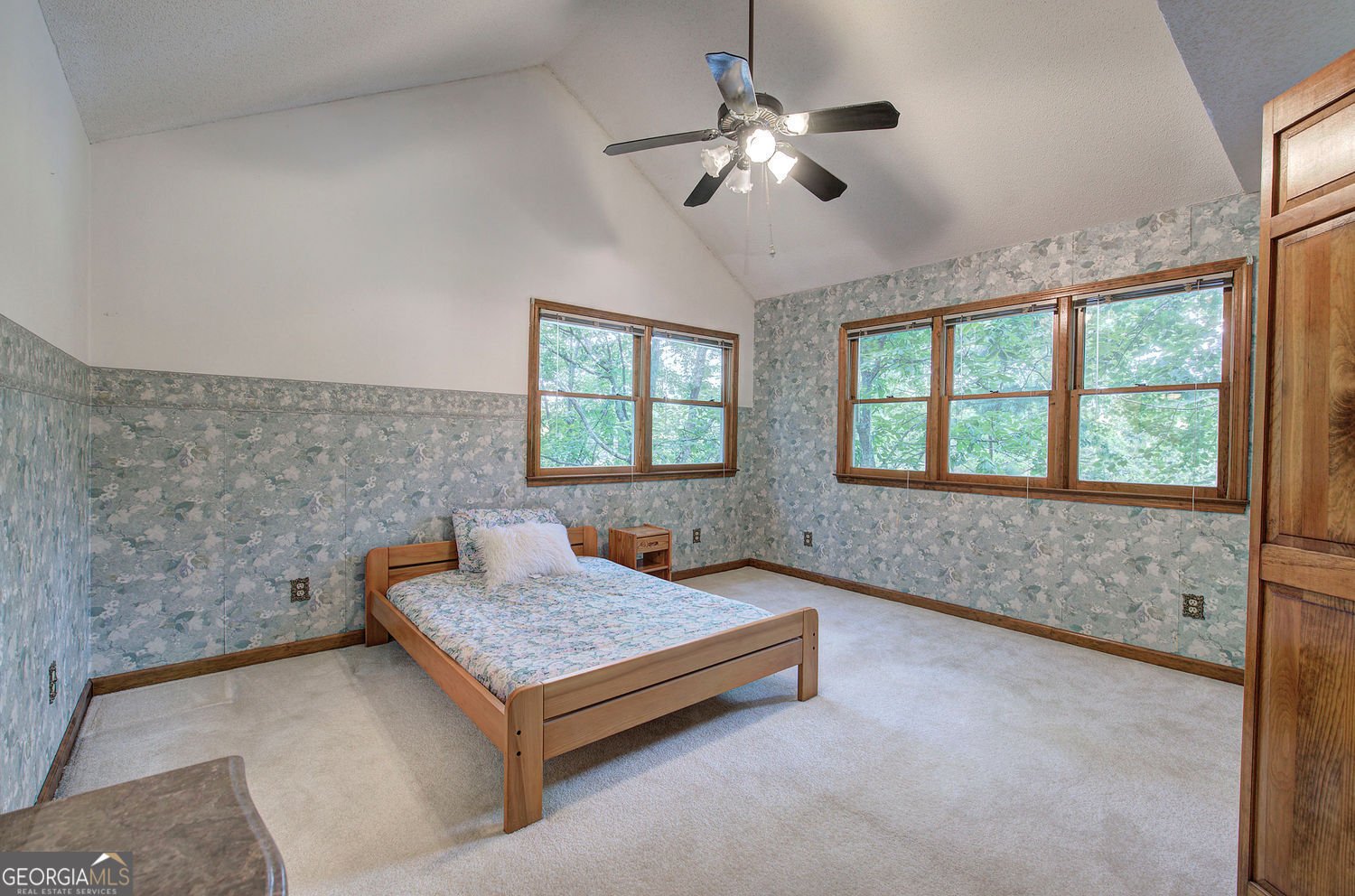 166 Douglas Fir Drive Drive Waleska - 21
