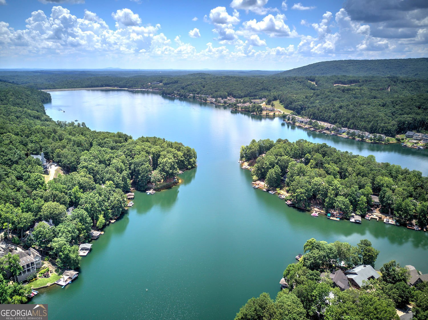 166 Douglas Fir Drive Waleska - 40