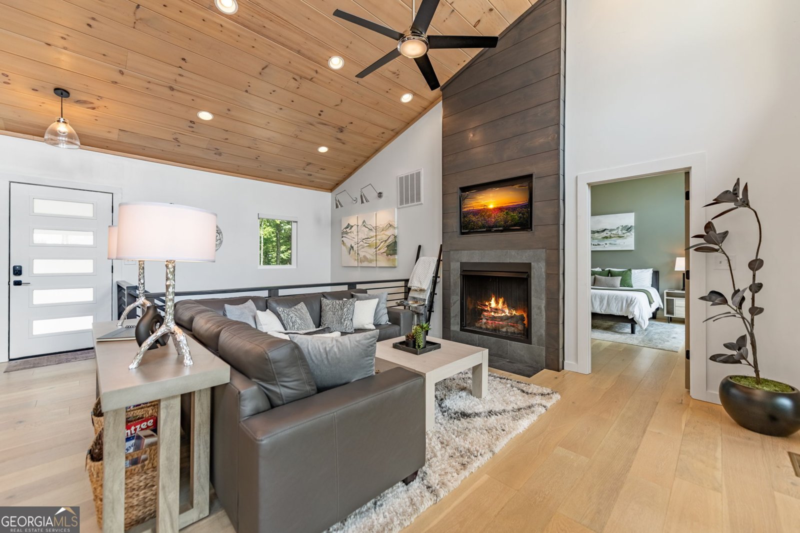 880 Little Bushy Head Road Blue Ridge - 12