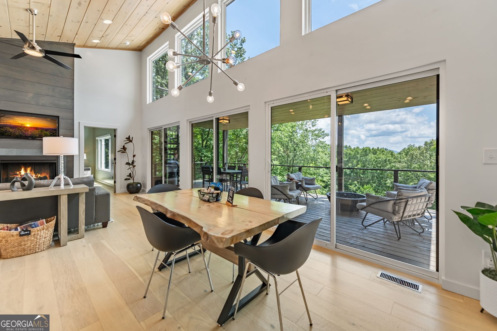880 Little Bushy Head Road Blue Ridge - 18