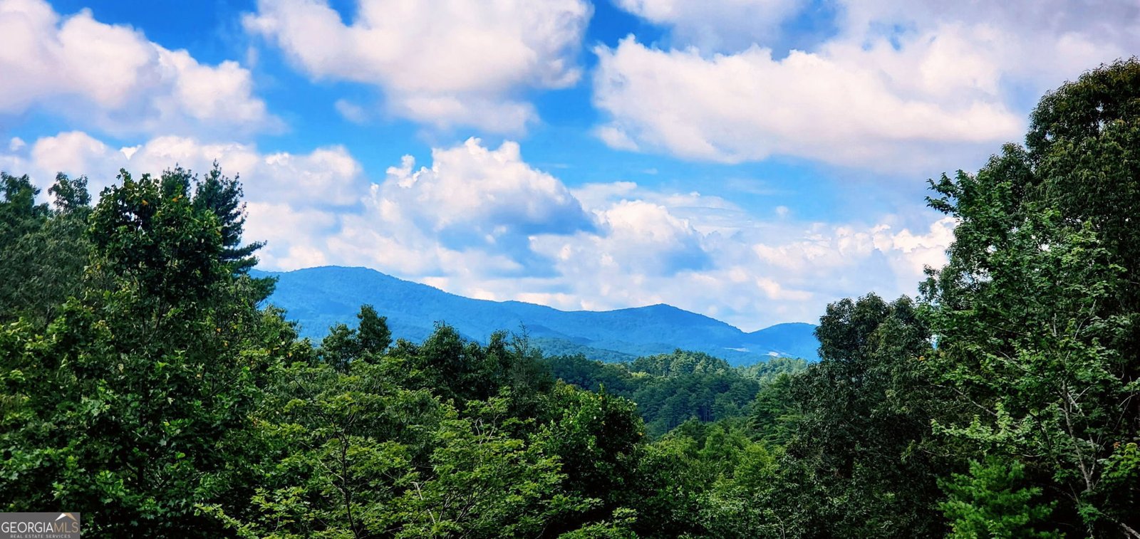880 Little Bushy Head Road Blue Ridge - 2