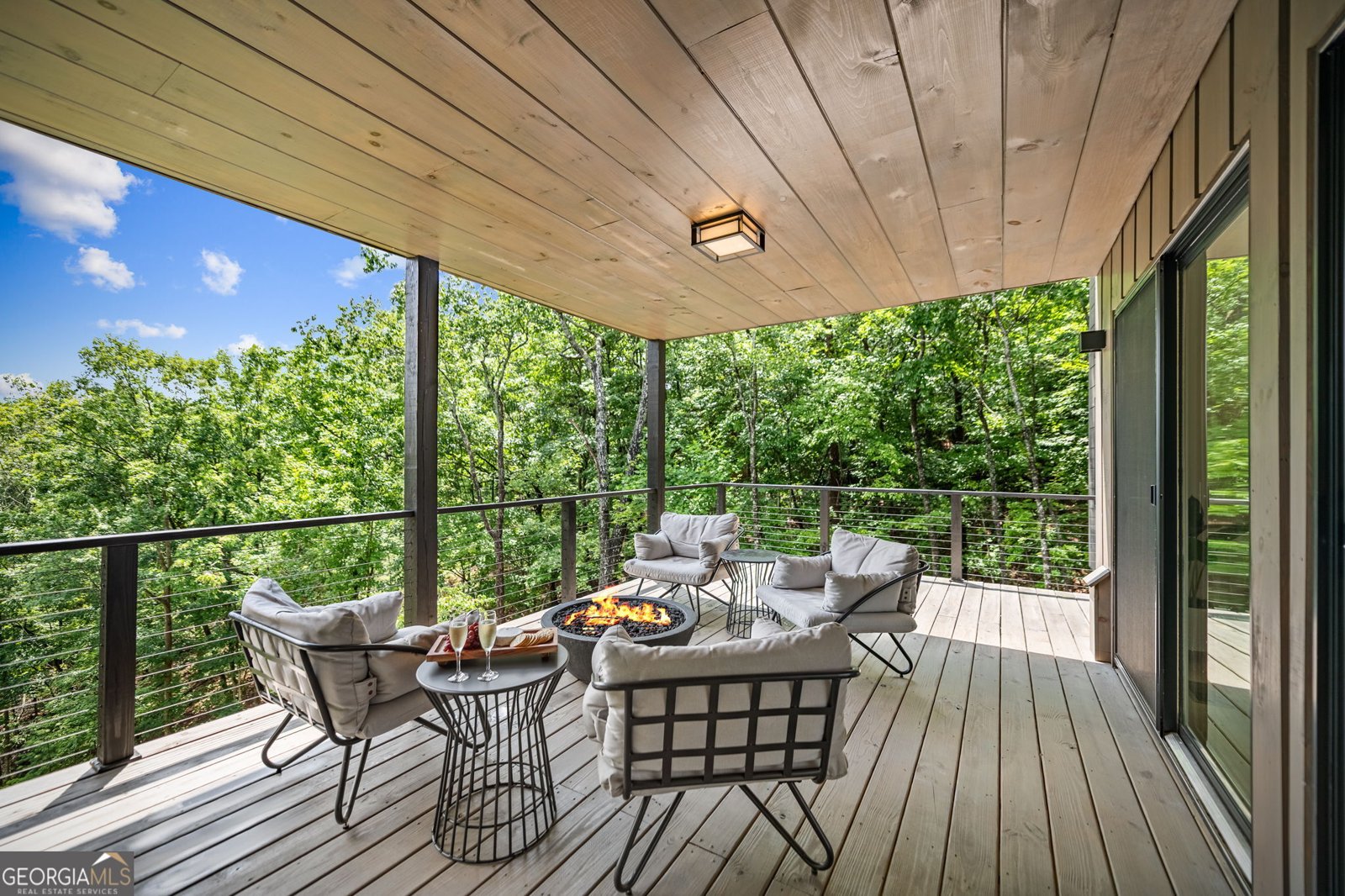 880 Little Bushy Head Road Blue Ridge - 30